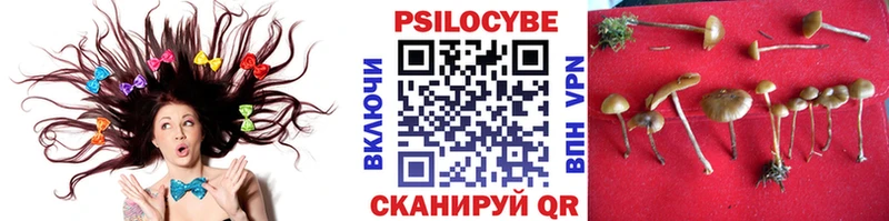 даркнет сайт Владимир Псилоцибиновые грибы MAGIC MUSHROOMS
