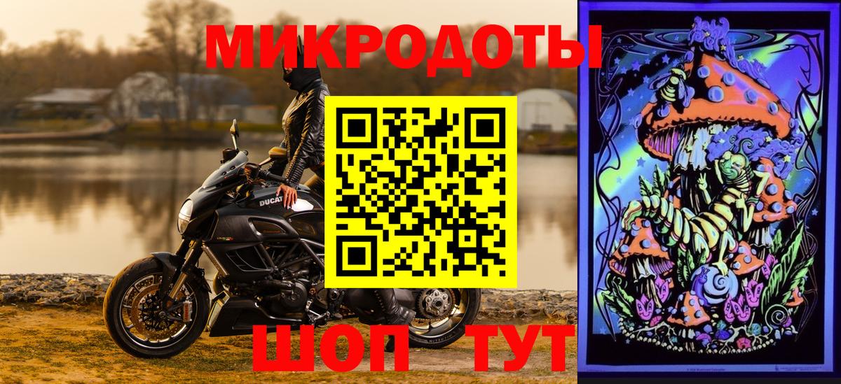 купить закладку  Вход с VPN  Галлюциногенные грибы мицелий  Владимир  Галлюциногенные грибы Magic Shrooms 