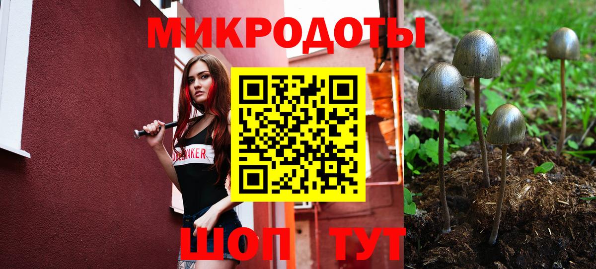 Галлюциногенные грибы прущие грибы Владимир