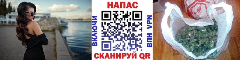 Конопля индика  Владимир 